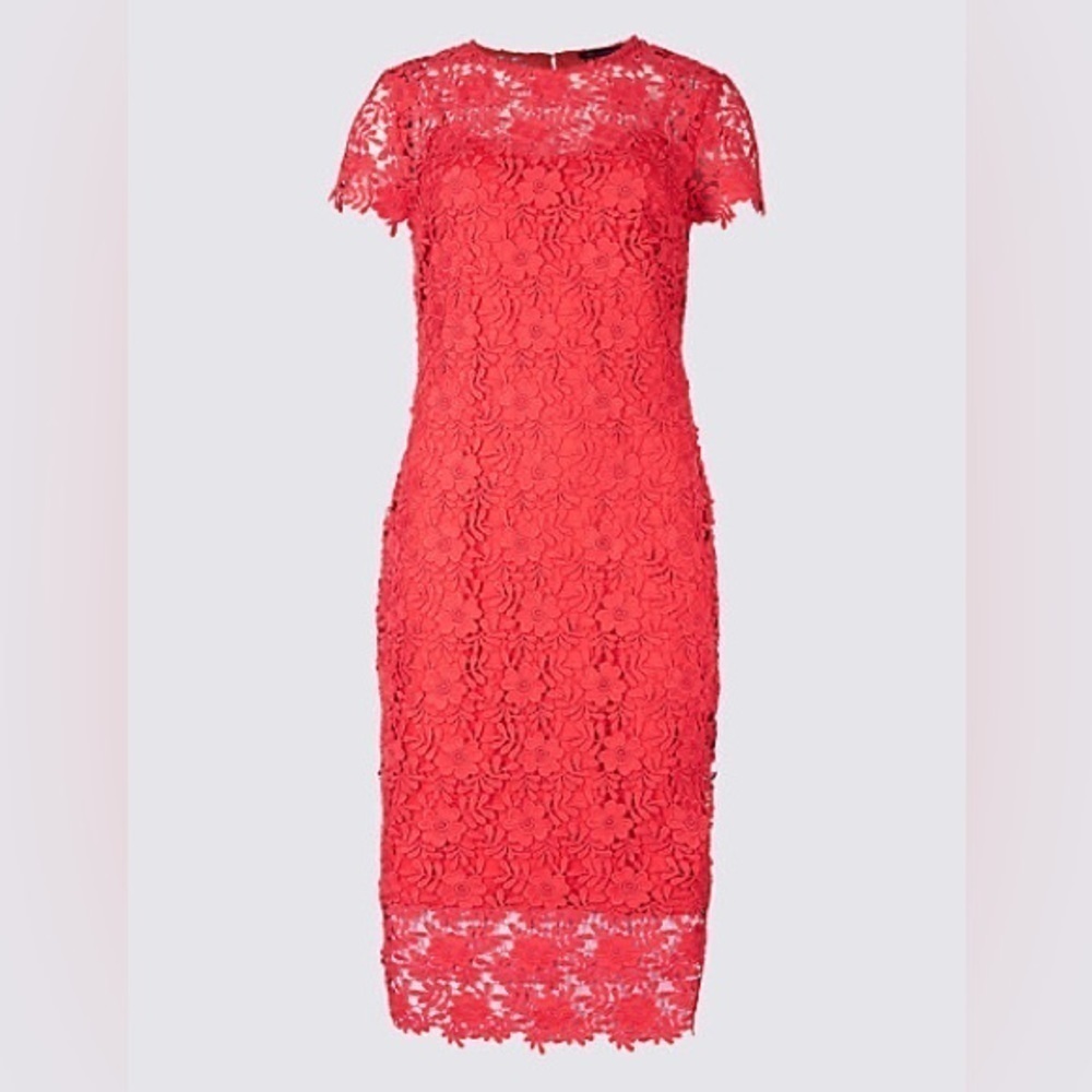 M&S Collection • Lace Sheath Short Sleeve Bodycon Midi Dress
